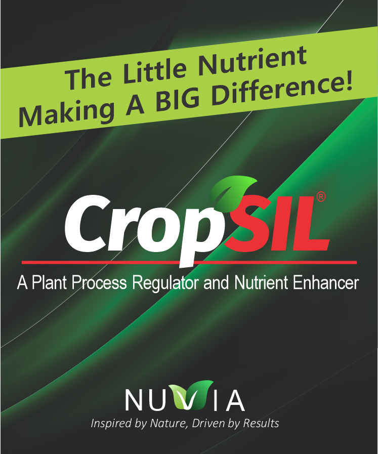 cropsil-silicon based plant nutrition enhancer