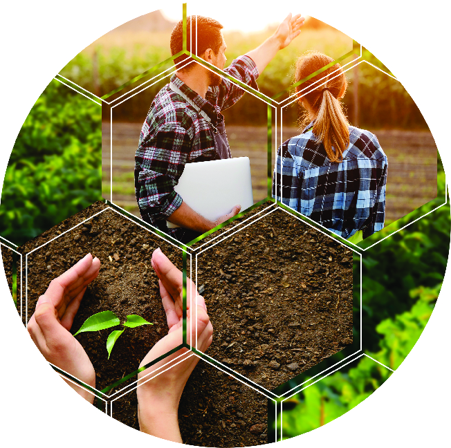 Field Trials To Improve Plant Nutrition, Soil Health & Crop Yield with Nuvia Tech Organic fertilizers & Solutions backed by science for organic farming.