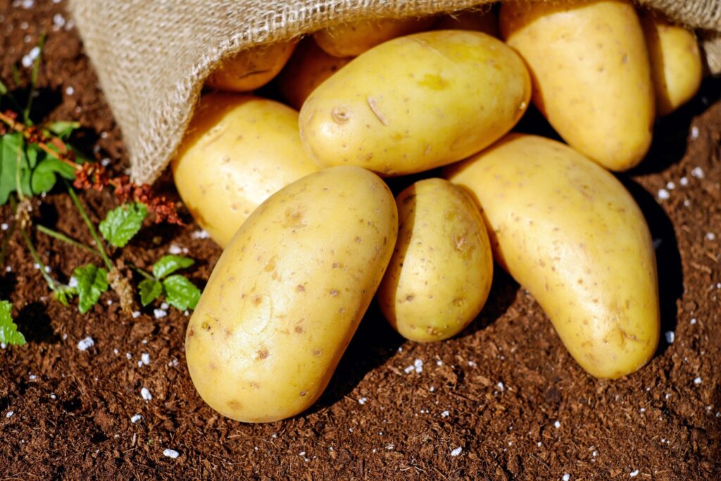 Max Potato Crop Yields with CropSIL