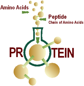 Improve Plant Nutrient for Stronger Crops & Higher Yields.