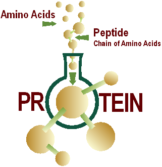 Improve Plant Nutrient for Stronger Crops & Higher Yields.